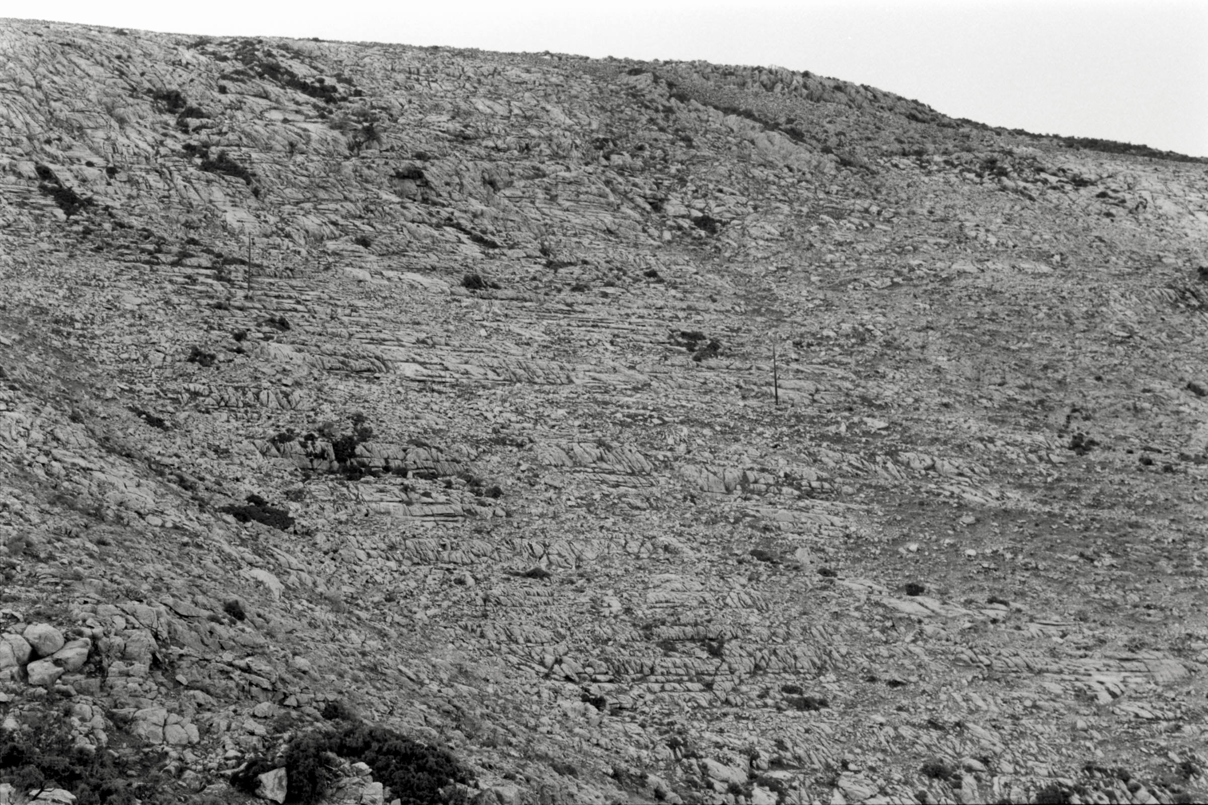 AHP F1991 09 006 sc250507 img34 NLP